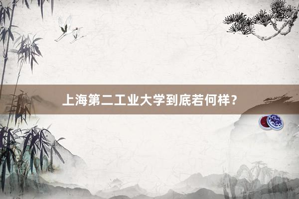 上海第二工业大学到底若何样？